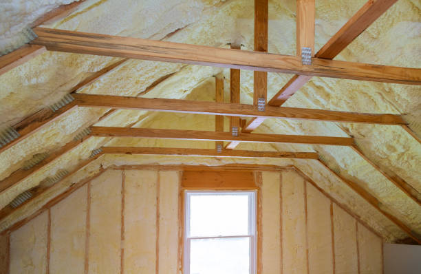 Best DIY Insulation Kits and Guidance in Tanaina, AK