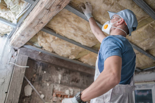 Best Commercial Insulation in Tanaina, AK