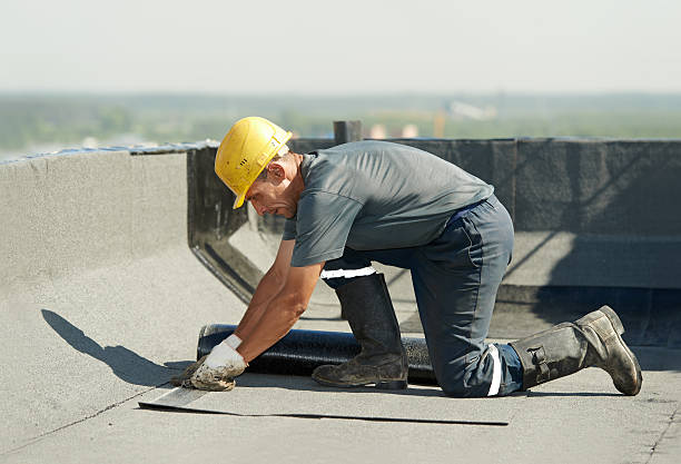 Best Specialized Insulation Services in Tanaina, AK