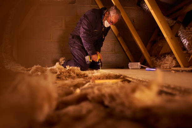 Best Geographic-Specific Insulation Services in Tanaina, AK