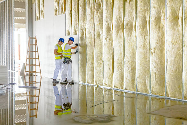 Tanaina, AK Insulation Contractor Company